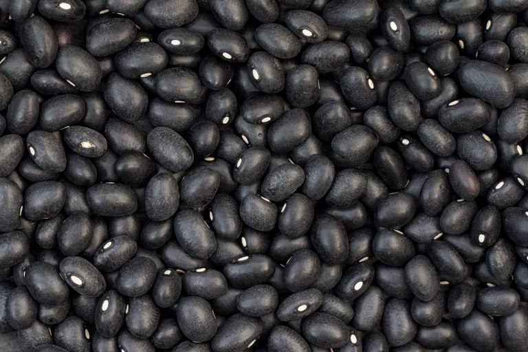 Fasolea neagră: O comoară nutritivă de bază în alimentația sănătoasă