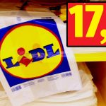 Promotii Irezistibile la Lidl România: Impactul Reducerilor asupra Consumatorilor și Pieței Locale
