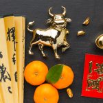 Fereastra Financiară a Câinelui: O Analiză Detaliată a Horoscopului Chinezesc pentru 17 Aprilie 2026