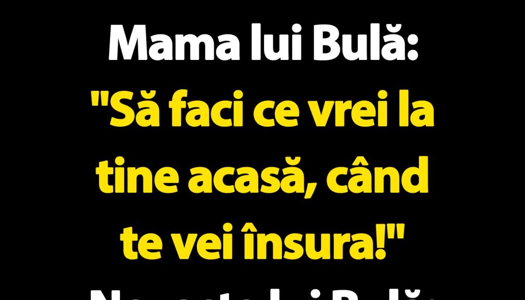 Bulă: O explorare a umorului românesc prin personaje iconice și situații comice