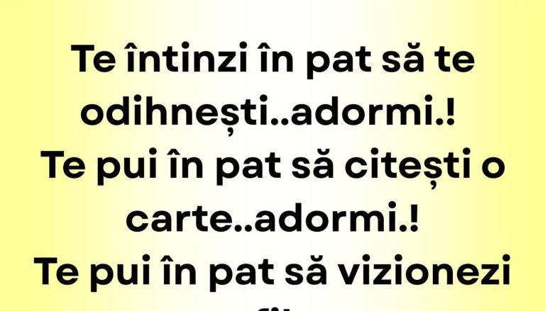 Paradoxul Patului: O Reflexie Umoristică Asupra Timpului Liber și a Odihnei