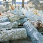 De ce reciclarea plasticului eșuează: O analiză detaliată a problemelor și soluțiilor posibile