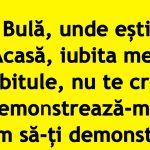 Umorul în Viața Cotidiană: Bulă și Satira Socială