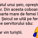 Umorul în Cultura Arabă: O Privire Asupra Bancului "Șeicul și Servitorul"