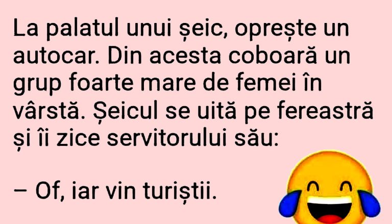 Umorul în Cultura Arabă: O Privire Asupra Bancului "Șeicul și Servitorul"