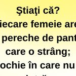 Umorul feminin: O privire asupra stereotipurilor și realităților din viața femeilor