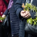 Salcia Sfințită: Tradiții, Semnificații și Rolul său în Viața Cotidiană