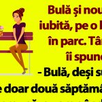 Umorul și Viața Cotidiană: O Analiză a Bancurilor cu Bulă și Impactul Lor Social