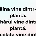 Umorul și Originea Alimentelor: O Analiză Profundă a Sărbătorii Gustului și Râsului