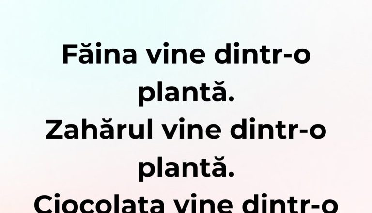 Umorul și Originea Alimentelor: O Analiză Profundă a Sărbătorii Gustului și Râsului