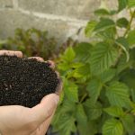 Transformă-ți Grădina în 30 de Zile: Ghid Complet pentru un Sol Sănătos și Fertil