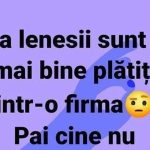 Umorul și Lenea în Mediul Corporate: O Analiză a Percepției Asupra Leneșilor Într-o Firmă