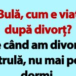 Umorul ca Refugiu: Viața lui Bulă După Divorț și Alte Povești Amuzante
