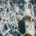 Cicloni și Schimbări Bruste: Prognoza Meteorologică pentru România pe 21 Aprilie 2026