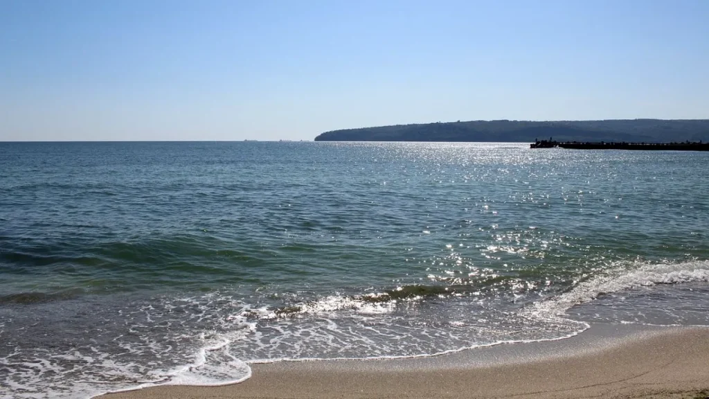 Impactul Poluării în Marea Neagră: O Analiză Detaliată a Incidentelor de la Tuapse