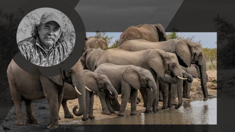 Tragedia vânătorului de trofee: moartea unui milionar în jungla africană