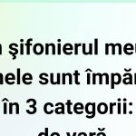 Haosul din Șifonier: O Analiză Amuzantă a Categoriilor de Haine și Impactul Asupra Psihologiei Noastre