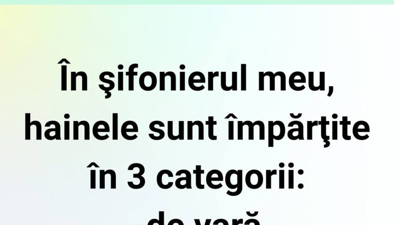 Haosul din Șifonier: O Analiză Amuzantă a Categoriilor de Haine și Impactul Asupra Psihologiei Noastre