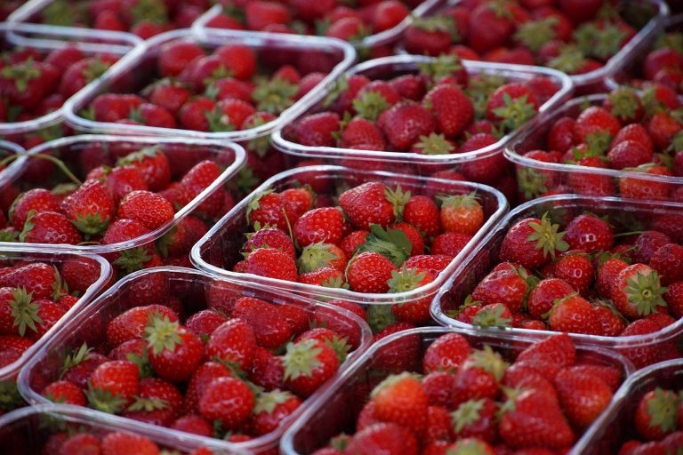 Prețul căpșunilor în 2026: O analiză a tendințelor de consum și impactul asupra sănătății
