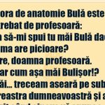 Umorul și Satira în Educație: Analiza Bancului cu Bulă și Întrebarea despre Inimă