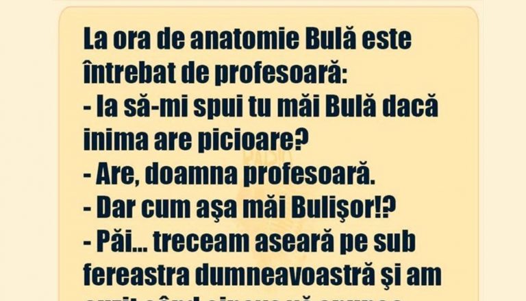 Umorul și Satira în Educație: Analiza Bancului cu Bulă și Întrebarea despre Inimă