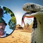 Tragedie în vacanță: Moartea unui turist german mușcat de șarpe în Egipt și implicațiile acestei incidente