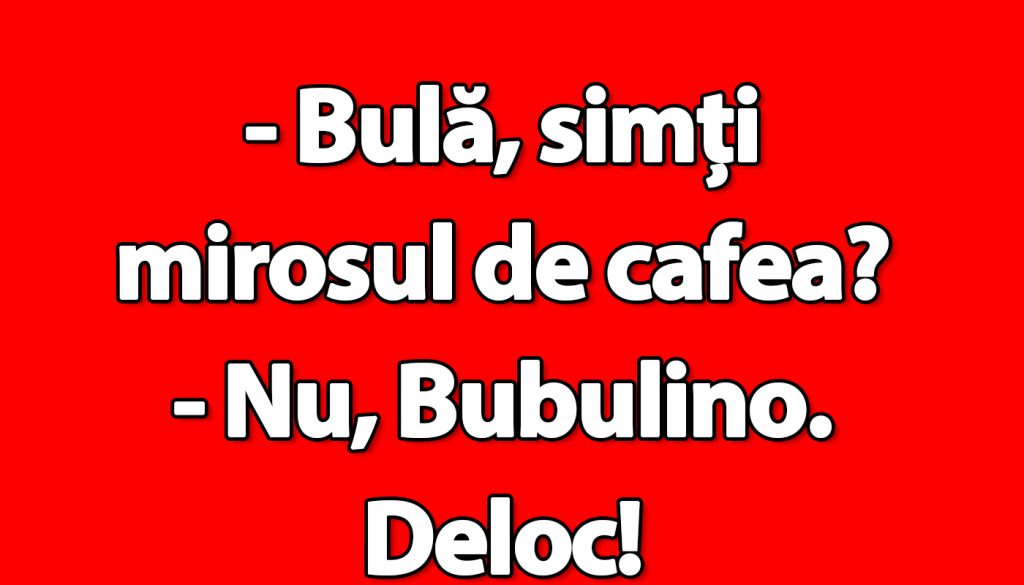 Umorul Românesc și Personajul Bulă: O Analiză a Bancurilor și a Impactului Lor Social