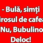 Umorul Românesc și Personajul Bulă: O Analiză a Bancurilor și a Impactului Lor Social