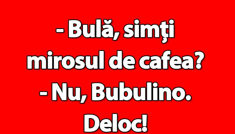 Umorul Românesc și Personajul Bulă: O Analiză a Bancurilor și a Impactului Lor Social