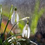 Fenomen Meteorologic Neobișnuit în România: Iarna Revine la Final de Aprilie