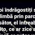 Umorul în Contexte Diverse: O Analiză a Bancurilor Românești și Impactul Lor Asupra Socializării