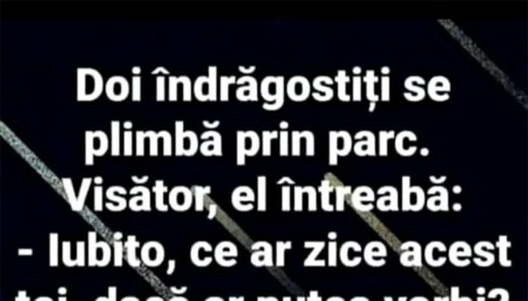 Umorul în Contexte Diverse: O Analiză a Bancurilor Românești și Impactul Lor Asupra Socializării