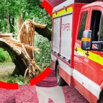Tragedia din pădurea Neamț: O analiză detaliată a accidentului fatal și a intervenției salvatorilor