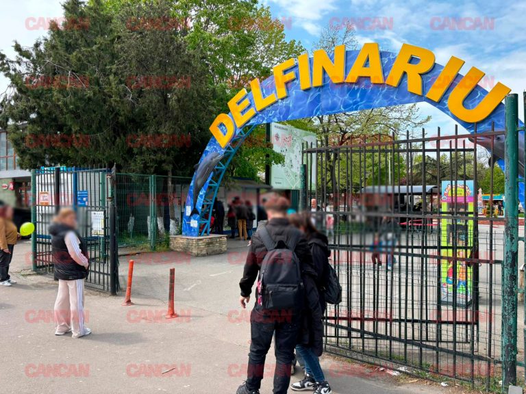 Costul și impactul atracțiilor de vară: Analiza Delfinariului din Mamaia