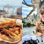 Mădălin Ionescu și Gyros-ul: Un Fenomen Cultural la Intersecția Economiei și Identității Grecești
