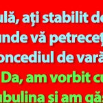 Umorul românesc și vacanțele: O analiză a bancurilor cu Bulă și Bubulina