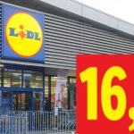 Descoperă Deliciile Franțuzești la Reduceri: Ofertele LIDL din Această Săptămână