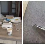 Dezastrul din Mamaia: Impactul comportamentului tinerilor asupra turismului românesc