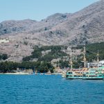 Epidemie de Hantavirus pe MV Hondius: O analiză detaliată a crizei sanitare în mijlocul oceanului