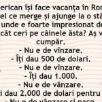 Umorul și cultura: O privire asupra bancului americanului în România