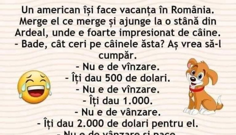 Umorul și cultura: O privire asupra bancului americanului în România