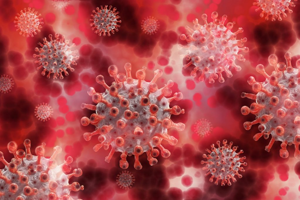 Hantavirus: Risc, Transmitere și Simptome – O Analiză Detaliată