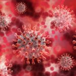 Hantavirus: Risc, Transmitere și Simptome – O Analiză Detaliată