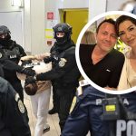 Cazul Adrian Kreiner: Misiune de Justiție Complicată sau O Acoperire Perfectă?