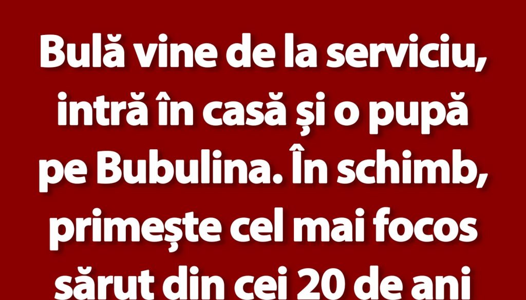 Umorul cotidian: Bulă și povestea amuzantă a unei întâlniri neașteptate