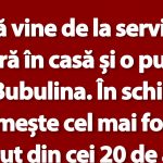 Umorul cotidian: Bulă și povestea amuzantă a unei întâlniri neașteptate
