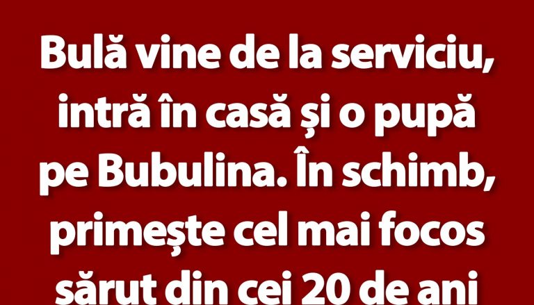 Umorul cotidian: Bulă și povestea amuzantă a unei întâlniri neașteptate