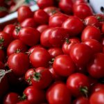 Roșiile din Maroc câștigă teren pe piața românească: O analiză a importurilor, logisticii și implicațiilor economice