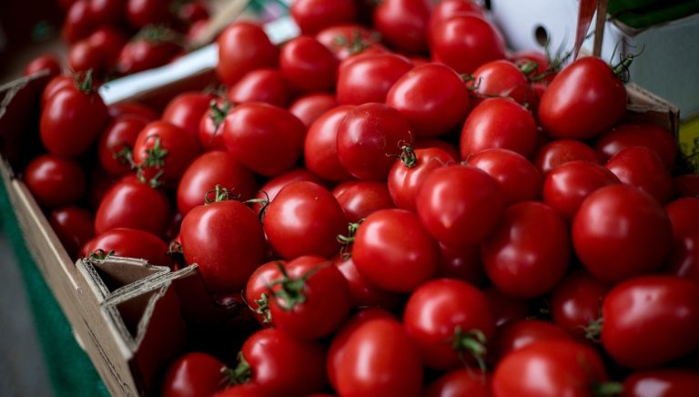 Roșiile din Maroc câștigă teren pe piața românească: O analiză a importurilor, logisticii și implicațiilor economice