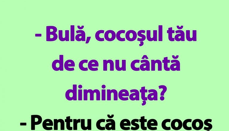 Umorul Românesc: O Analiză a Bancurilor cu Bulă și Implicațiile Lor Culturale